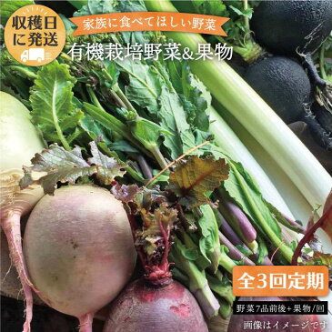 【ふるさと納税】【全3回定期便(月1回)】☆畑直送☆こだわり野菜7品(前後)セット＋畑で採れた果物をプレゼント オーガニックナガミツファーム [AGE007]