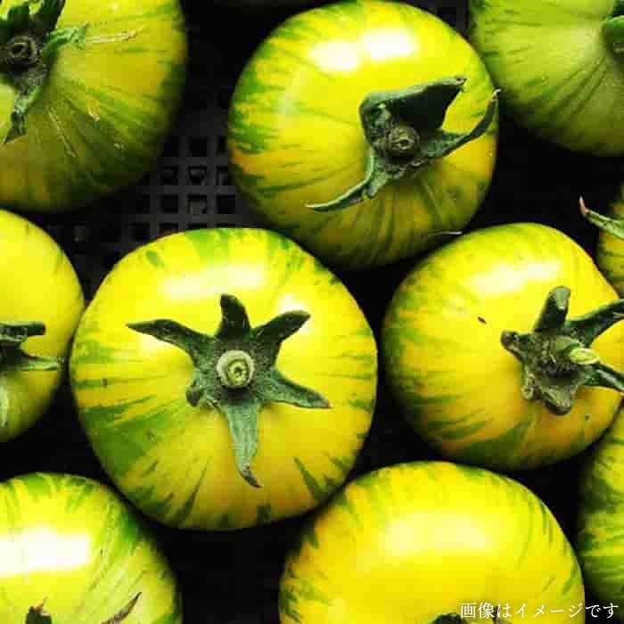 �ڤդ뤵��Ǽ�ǡۡ� ���ݴ��������� �� �������� �Ի��� �ۤ������ ��������� ���åȡԻ���աڥ������˥å��ʥ��ߥĥե������[AGE014] 27000�� 2��7���