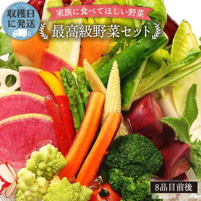 【ふるさと納税】【お中元対象】【最高に贅沢な野菜】こだわり栽培[最高級野菜]セット！栽培期間中農薬..