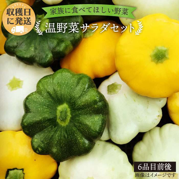 45位! 口コミ数「0件」評価「0」☆畑直送☆朝獲れ＊温野菜サラダセット（電子レンジでチンするだけ！）栽培期間中農薬・化学肥料不使用_オーガニックナガミツファーム [AGE01･･･ 