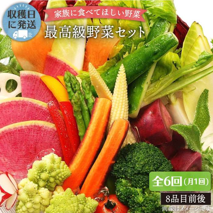 【ふるさと納税】【全6回定期便】【最高に贅沢な野菜】☆畑直送