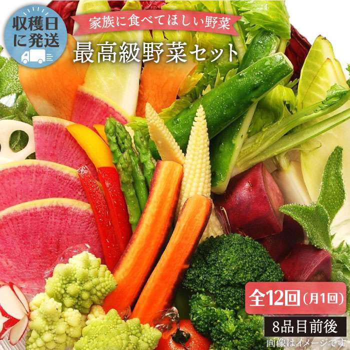 【ふるさと納税】【全12回定期便】【最高に贅沢な野菜】☆畑直送☆こだわり有機栽培[最高級野菜]セット_オーガニックナガミツファーム [AGE018] 320000円 32万円 300000円 30万