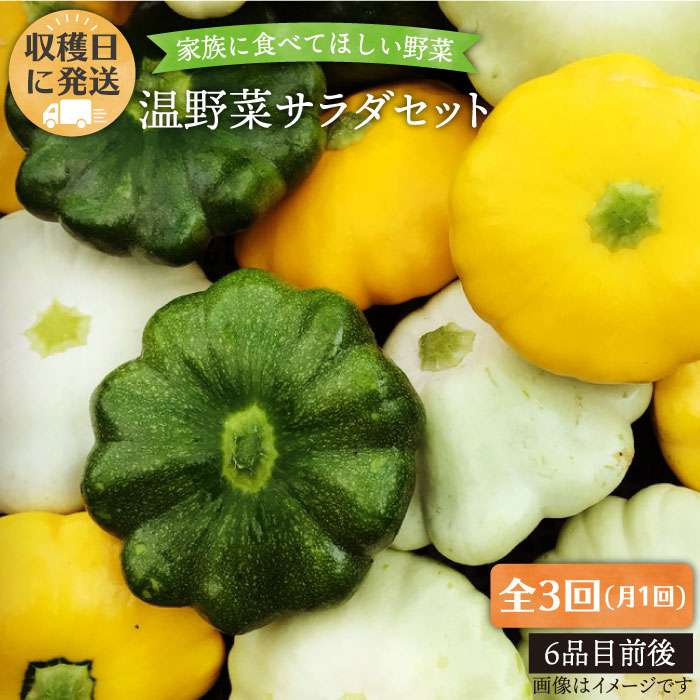 【ふるさと納税】【全3回定期便】☆畑直送☆【福岡県糸島産】朝獲れ＊温野菜サラダセット（電子レンジで...