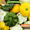 22位! 口コミ数「0件」評価「0」【全3回定期便】☆畑直送☆【福岡県糸島産】朝獲れ＊温野菜サラダセット（電子レンジでチンするだけ！）_オーガニックナガミツファーム [AGE0･･･ 