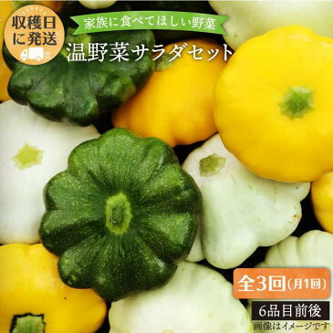 【ふるさと納税】【全3回】☆畑直送☆【福岡県糸島産】朝獲れ＊温野菜サラダセット（電子レンジでチンするだけ！）_オーガニックナガミツファーム [AGE019]