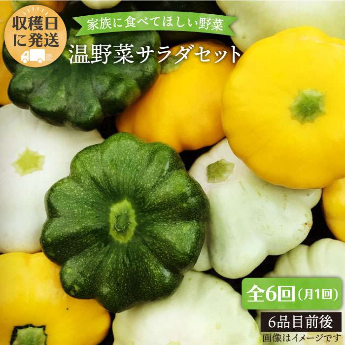 【ふるさと納税】【全6回定期便】☆畑直送☆【福岡県糸島産】朝獲れ 温野菜サラダセット 電子レンジでチンするだけ _オーガニックナガミツファーム [AGE020] 70000円 7万円