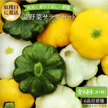 【ふるさと納税】【全6回】☆畑直送☆【福岡県糸島産】朝獲れ＊温野菜サラダセット（電子レンジでチンするだけ！）_オーガニックナガミツファーム [AGE020]