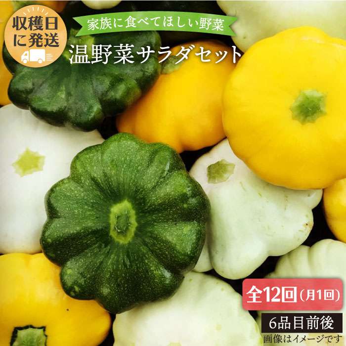 【ふるさと納税】【全12回定期便】☆畑直送☆【福岡県糸島産】朝獲れ＊温野菜サラダセット（電子レンジで..