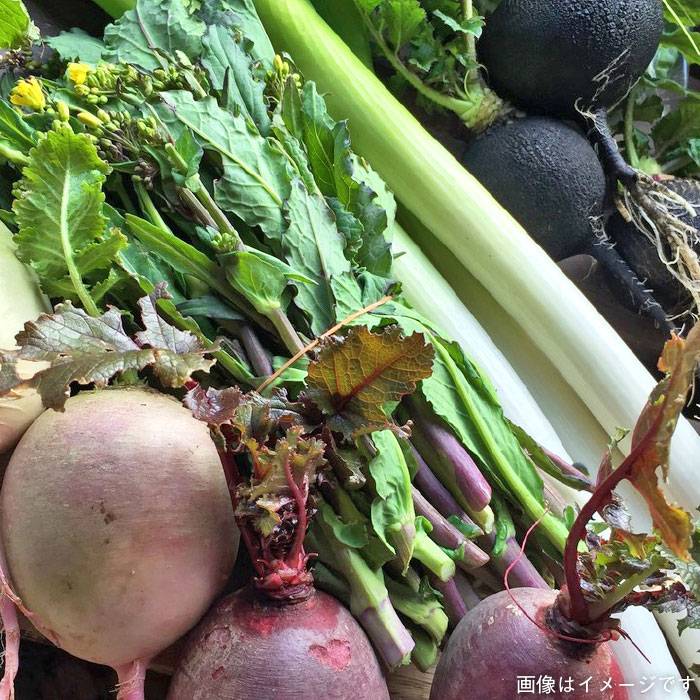 【ふるさと納税】(大切な人に贈り物)季節の旬野菜+プレミアム野菜+畑で取れた果物、合計7、8品セット【熨斗付き】_オーガニックナガミツファーム [AGE022] 14000円