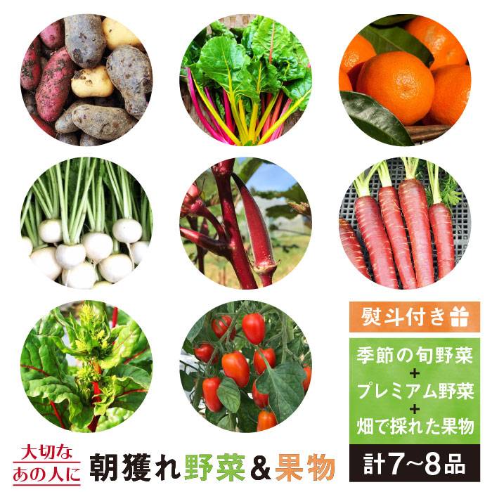 (大切な人に贈り物)季節の旬野菜+プレミアム野菜+畑で取れた果物、合計7、8品セット【熨斗付き】_オーガニックナガミツファーム [AGE022] 14000円