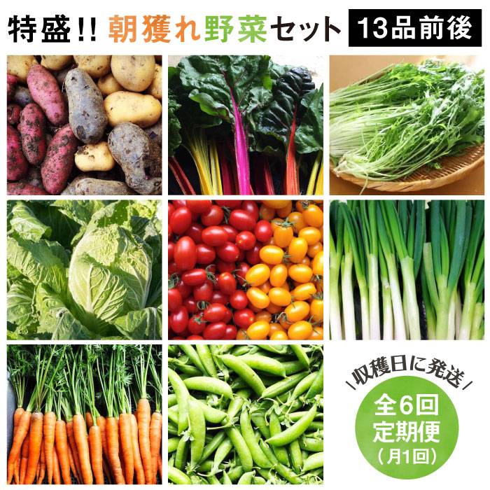 29位! 口コミ数「1件」評価「5」【全6回定期便】☆畑直送☆ 福岡県糸島産 朝採れ野菜セット（13品前後）オーガニックナガミツファーム [AGE025] 93000円