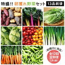 17位! 口コミ数「2件」評価「4.5」【全12回定期便】☆畑直送☆ 福岡県糸島産 朝採れ野菜セット（13品前後）オーガニックナガミツファーム [AGE026] 詰め合わせ おまか･･･ 