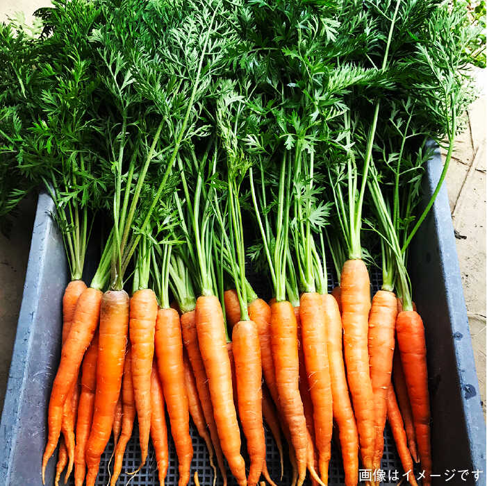 �ڤդ뤵��Ǽ�ǡۡ� ��12�� ����� �� ī�Τ� �������˥å� �� ��� ��Ǥ�� 5�� �� ���绺 ��ҥå� �û� �ù��� 2�� �Υ��åȡԻ���աڥ������˥å��ʥ��ߥĥե������ [AGE032] 178000�� 17��8���