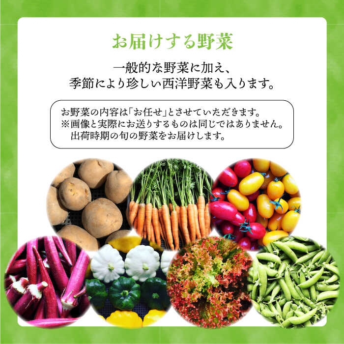 �ڤդ뤵��Ǽ�ǡۡ���12������ءۡڡ�Ȫľ�������ݴ����������Ի��ѡ��ۤ� �� 2kg & ��� 5�� �� ���å� ����� / �������˥å��ʥ��ߥĥե����� [AGE038] 206000�� 20��6���