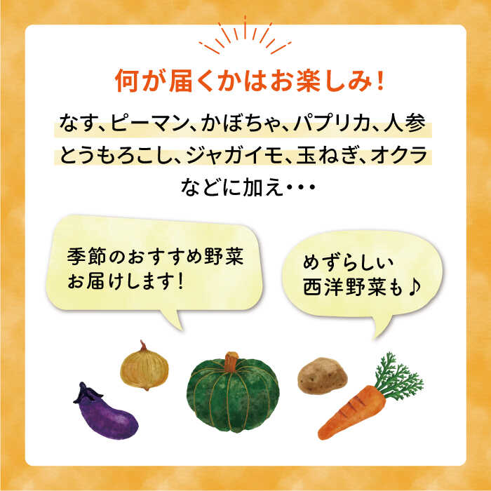 【ふるさと納税】☆キャンプにもおすすめ☆バーベキュー・グリル用朝獲れ野菜特選セット【福岡県糸島産】(たっぷり7～8人分) 糸島市 / オーガニックナガミツファーム 野菜 詰め合わせ[AGE039] 14000円