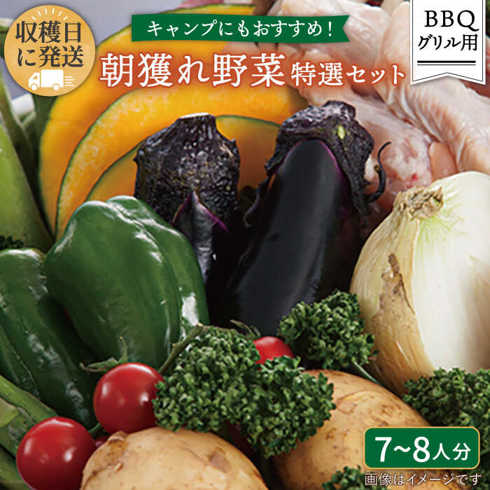 21位! 口コミ数「0件」評価「0」☆キャンプにもおすすめ☆バーベキュー・グリル用朝獲れ野菜特選セット【福岡県糸島産】(たっぷり7～8人分) 糸島市 / オーガニックナガミツフ･･･ 