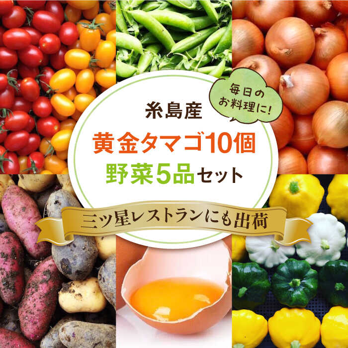 【ふるさと納税】糸島の朝産み黄金タマゴ10個 朝どれ新鮮野菜5品 セット【福岡県糸島産】 糸島市 / オーガニックナガミツファーム 玉子 やさい[AGE046]