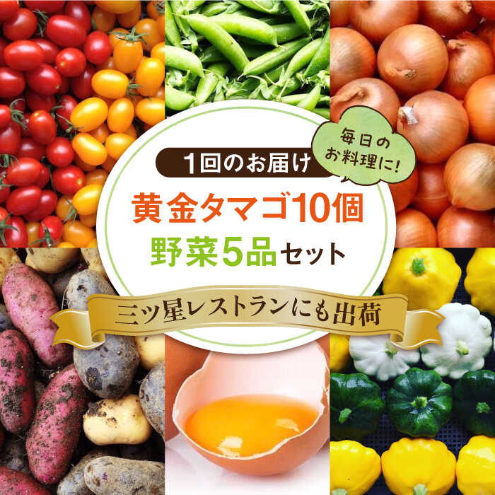 【ふるさと納税】【全3回定期便】糸島の朝産み黄金タマゴ10個 朝どれ新鮮野菜5品 セット【福岡県糸島産】 糸島市 / オーガニックナガミツファーム 玉子 やさい[AGE047]