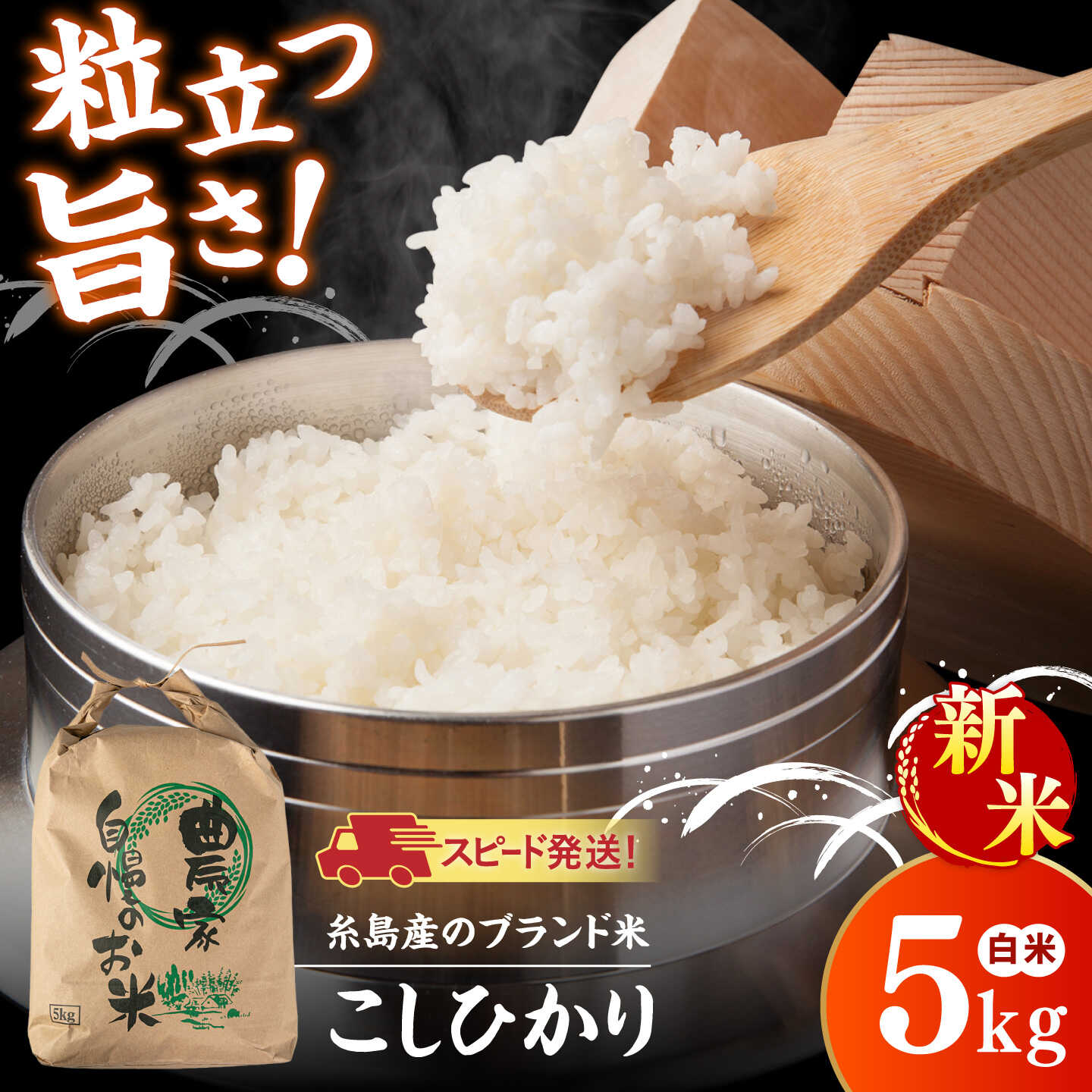 【令和8年産】こしひかり 白米 5kg 糸島市産 糸島市 / 糸島の恵み コメ こめ ご飯[AGR021]1万1千円 11000円