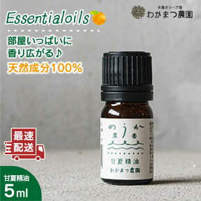 【ふるさと納税】【母の日ギフト対象】農香《のうか》シリーズ◎甘夏精油5ml(アロマオイル)《糸島》【わかまつ農園】[AHB003] 7000円 7千円