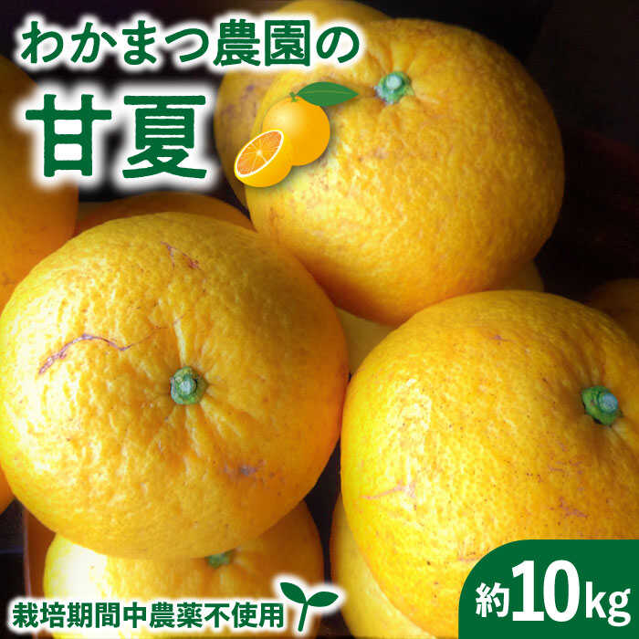 【ふるさと納税】【有機栽培】甘夏 10kg 栽培期間中 農薬不使用《糸島》【わかまつ農園】 [AHB016] 17000円 常温