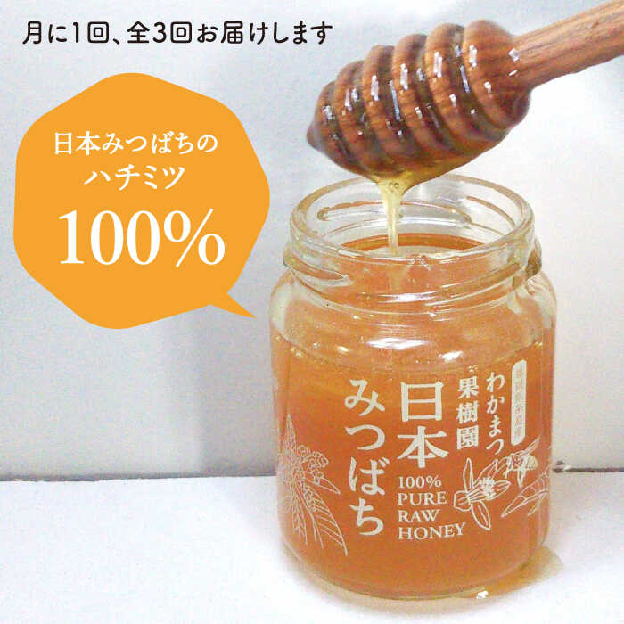 【ふるさと納税】【全3回定期便】わかまつ果樹園の日本みつばちのハチミツ100％（PURE RAW HONEY） [AHB032] 32000円 常温