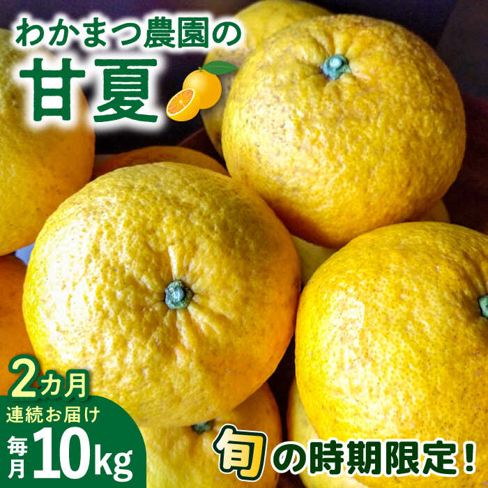 【ふるさと納税】【全2回定期便】【有機栽培】【先行予約受付中：2024年4月中旬以降順次発送】甘夏 10kg 栽培期間中 農薬不使用 糸島市 / わかまつ農園 [AHB051] 34000円 果物 フルーツ