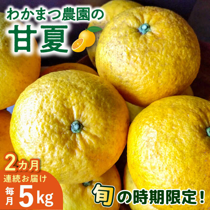 【ふるさと納税】【全2回定期便】【有機栽培】甘夏 5kg 栽培期間中 農薬不使用 糸島市 / わかまつ農園...