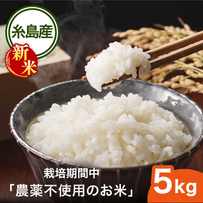 栽培期間中 農薬不使用のお米 ヒノヒカリ 5kg 糸島市 / シーブ [AHC005] おこめ 5キロ 30000円 3万円