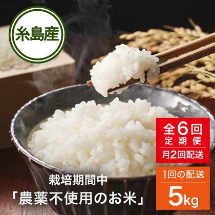 【全6回(月2回)定期便】 栽培期間中 農薬不使用のお米 ヒノヒカリ 5kg 糸島市 / シーブ [AHC006] 米 定期便 123000円 常温 100000円 10万