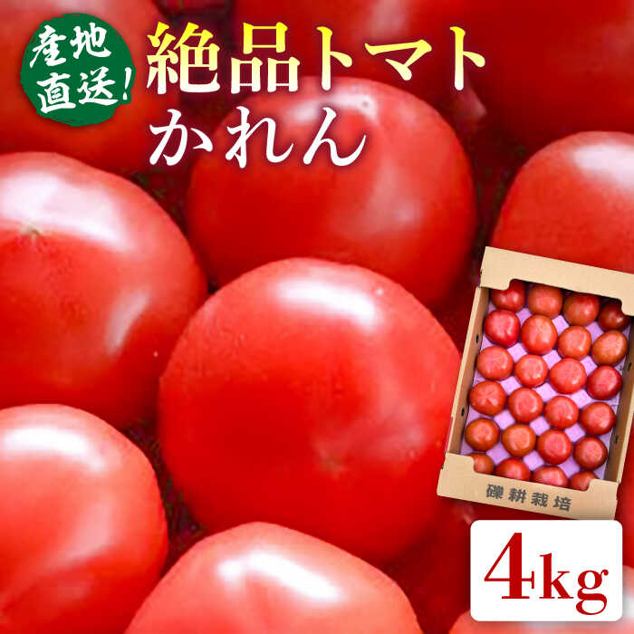 【ふるさと納税】【先行受付】期間限定 旬野菜 糸島産 絶品トマト かれん (4kg28玉前後) 【2025年12月上旬以降順次発送】糸島市 / シーブ[AHC0...
