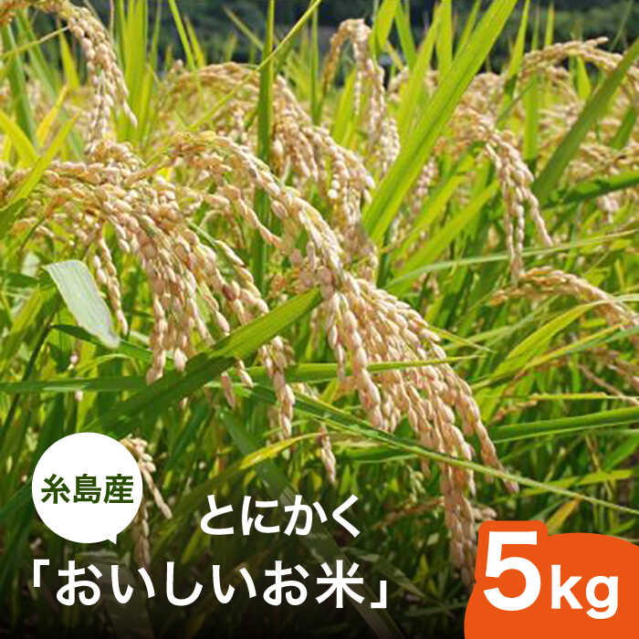 【ふるさと納税】【令和5年産】とにかくおいしいお米 夢つくし 5kg 糸島市 / シーブ [AHC021] おこめ 5キロ 18000円 常温のサムネイル