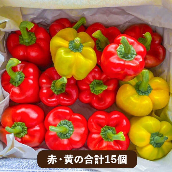 【ふるさと納税】肉厚 パプリカ 15個 福岡県 糸島産 シーブ 糸島市 [AHC032] 野菜 ピーマン 28000円 2万8千円