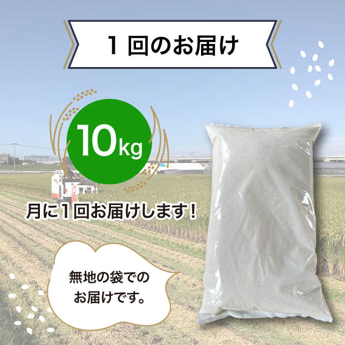 【ふるさと納税】【全6回(月1回)定期便】 栽培期間中 農薬不使用のお米 10kg 糸島市 / シーブ [AHC045] 米 定期便30万円340000円 f402303-itoshima-10003138 福岡県糸島市 サンプル画像3