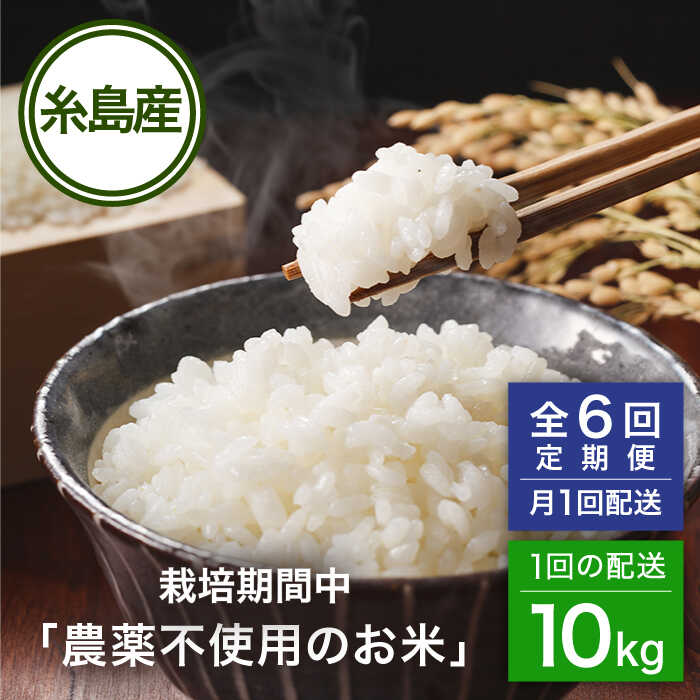 【ふるさと納税】【全6回(月1回)定期便】 栽培期間中 農薬不使用のお米 10kg 糸島市 / シーブ [AHC045] 米 定期便30万円340000円 f402303-itoshima-10003138 福岡県糸島市 パッケージ画像