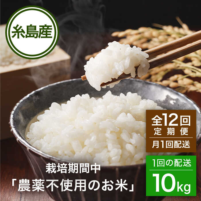 【ふるさと納税】【全12回(月1回)定期便】 栽培期間中 農薬不使用のお米 10kg 糸島市 / シーブ [AHC046] 米 定期便 443000円 常温 400000円 40万