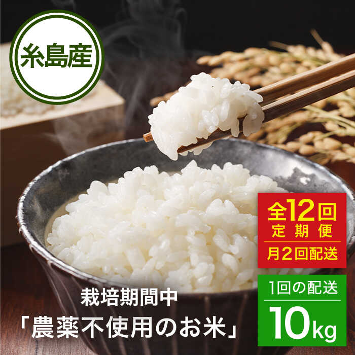 【全12回(月2回)定期便】 栽培期間中 農薬不使用のお米 ヒノヒカリ 10kg 糸島市 / シーブ [AHC059] 米 定期便50万円514000円
