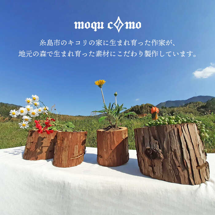 【ふるさと納税】≪森の花束 ≫ソロ（ドライフラワー入りポットの単品）《糸島》【木工房 moqu c0mo】 [AHF002]2万5千円25000円