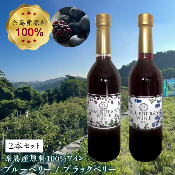 糸島産 ブルーベリー ＆ ブラックベリー ワイン 720ml×2種 セット 糸島市 / HYM FARM [AHM001] 17000円