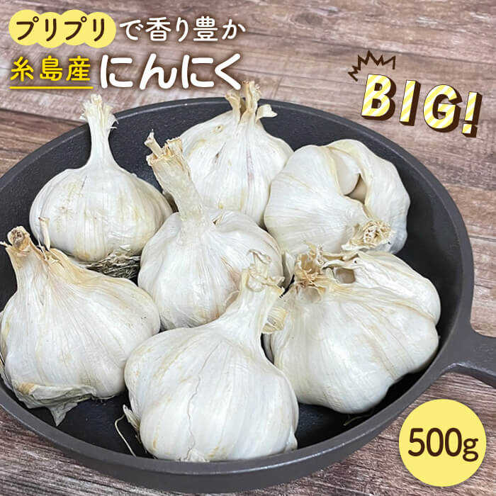 【数量限定！】にんにく500g 大きい！美味しい！糸島市からお届けする自慢のにんにくです≪糸島市≫【爽風農園】【いとしまごころ】[AHZ001] 11000円 常温