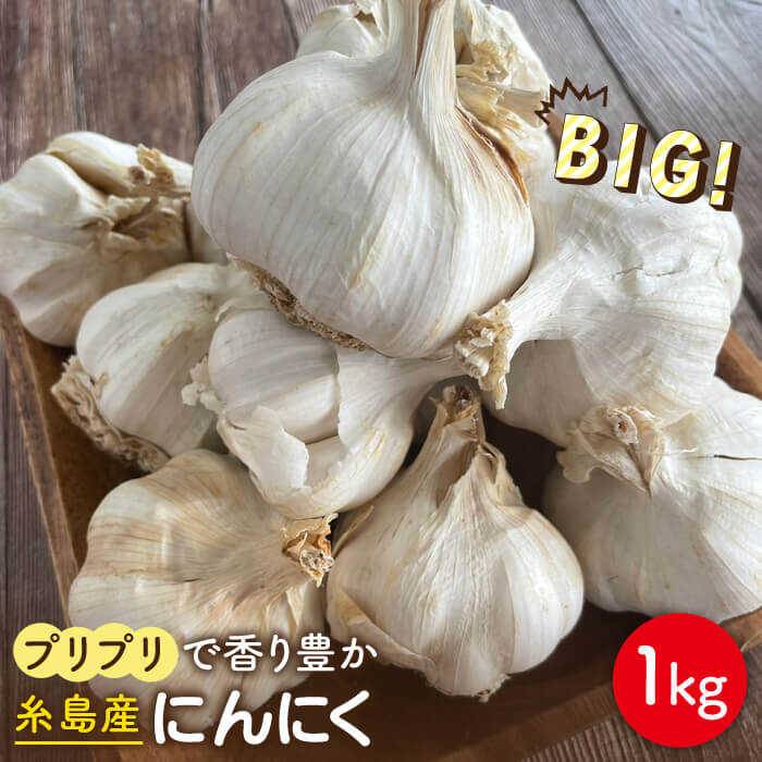 【ふるさと納税】【数量限定！】にんにく1kg 大きい！美味しい！糸島市からお届けする自慢のにんにくです≪糸島市≫【爽風農園】【いとしまごころ】[AHZ002] 16000円 常温