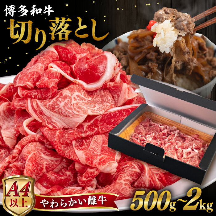 yӂ邳Ɣ[ŁzyA4/A5za ؂藎Ƃ yeʑIׂz 500g / 1kg / 2kg s / qT_t[Y[AIA046] јa Ⓚz