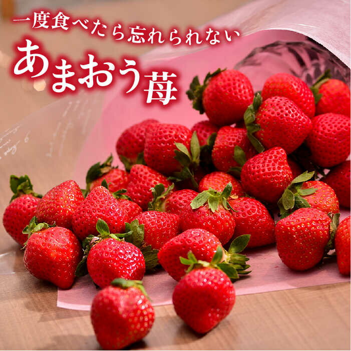 【ふるさと納税】【先行予約】糸島産【春】 あまおう 6パック 【2026年2月上旬以降順次発送】 《糸島》【南国フルーツ株式会社】 [AIK009] 先行予約 17000円 1万7千円