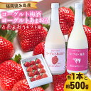 【ふるさと納税】【先行予約】ヨーグルトあまおう&ヨーグルト梅酒 各720ml×あまおうギフト箱入り (12-15粒)【2025年12月上旬以降順次発送】 糸島市...