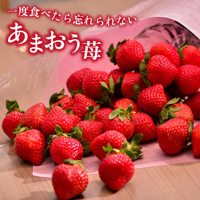 【ふるさと納税】【先行予約】【全2回定期便】糸島産【冬】あまおう 4パック 毎月1kg 【2025年12月上旬以降順次発送】糸島市 / 南国フルーツ株式会社 [AIK024] 42000円 4万2千円