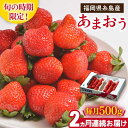 【ふるさと納税】【先行予約】【全2回定期便】糸島産【冬】あまおう 2パック 毎月500g 【2025年12月上旬以降順次発送】糸島市 / 南国フルーツ株式会社 ...