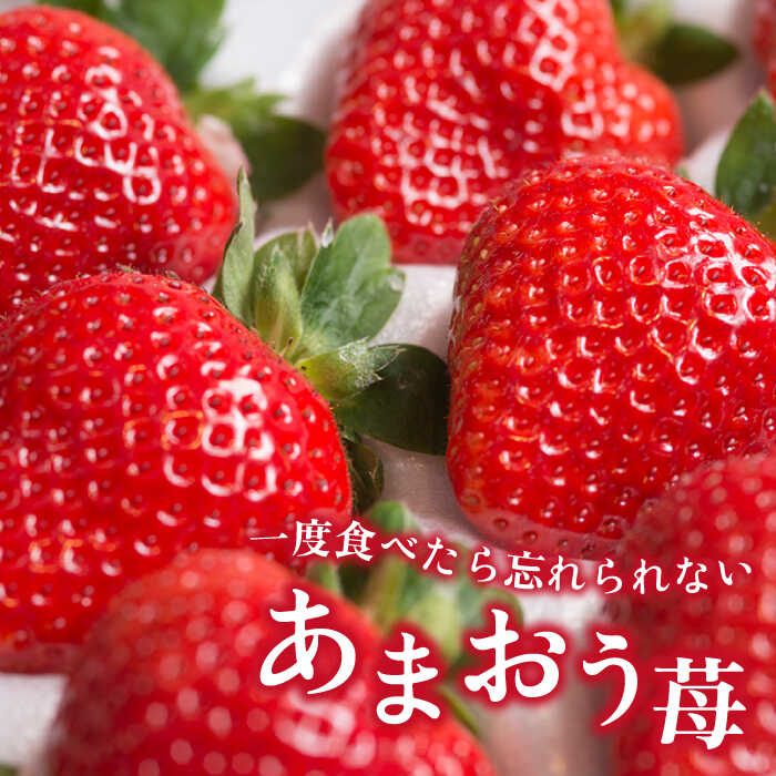 【ふるさと納税】【先行予約】【全2回定期便】糸島産 あまおう ギフト 箱 毎月 600g (24-30粒) 【2026年1月より順次発送】糸島市 / 南国フルーツ株式会社 [AIK028] 32000円 先行予約