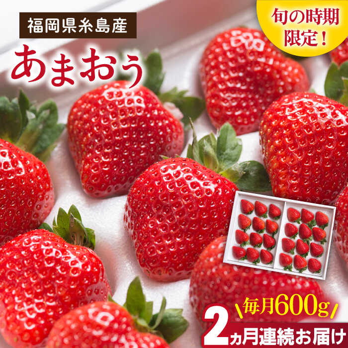[先行予約][全2回定期便]糸島産 あまおう ギフト 箱 毎月 600g (24-30粒) [2026年1月より順次発送]糸島市 / 南国フルーツ株式会社 [AIK028] 32000円 先行予約