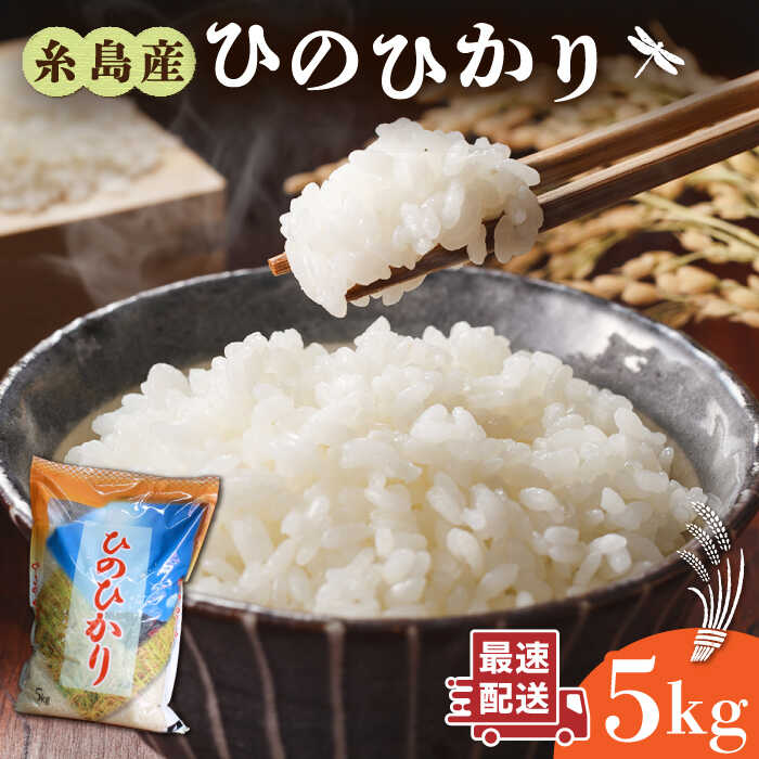楽天市場】【ふるさと納税】\令和6年産/ 糸島産 ひのひかり 楽天市場】【ふるさと納税】\令和6年産/ 糸島産 ひのひかり