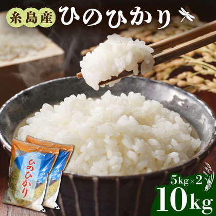 ＼令和5年産／ 糸島産 ひのひかり 10kg 糸島市 / 三島商店 [AIM004] 14000円